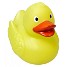 Geel