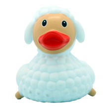 Schaap badeend