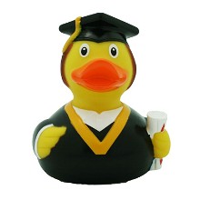 Bachelor eend