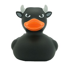 Stier badeend