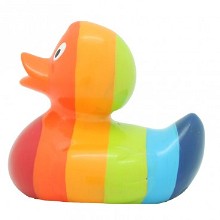 Regenboog badeend