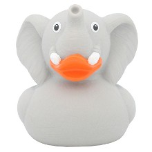 Olifant badeend