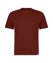 Dassy Vivid Fuji T-shirt 710068