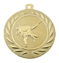 Medaille judo | Ø 50 mm