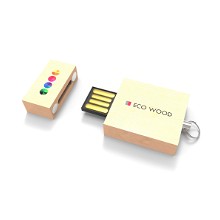 Ecowood USB Stick