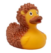 Egel badeend