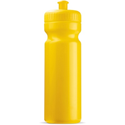 2531