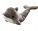 Pluche dolfijn Lars 28 cm