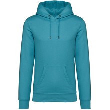 Native Spirit hoodie NS401